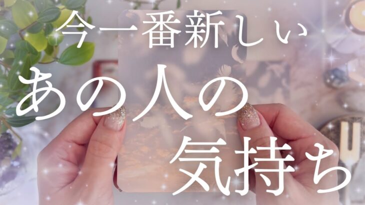 【最新💗本音】鳥肌。お相手の“強い気持ち”が入ってきました…😭❤️‍🩹【恋愛タロット】【あの人の気持ち】