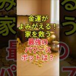 金運がよみがえる！家を救う最強のパワースポットは？