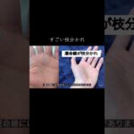 運命線に枝分かれがあればかなり素晴らしい #手相鑑定 #手相 #占い #手相占い