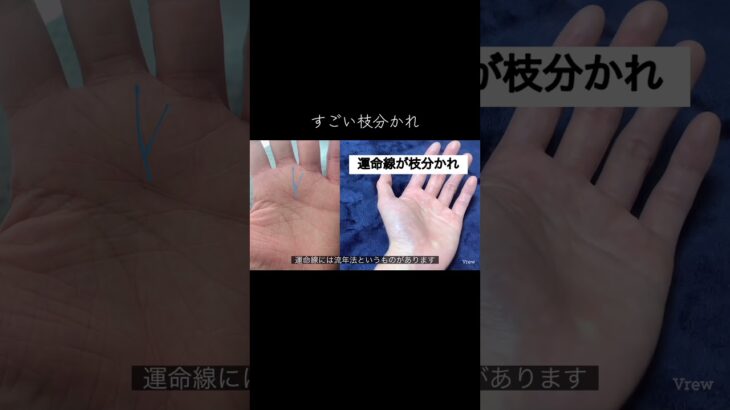 運命線に枝分かれがあればかなり素晴らしい #手相鑑定 #手相 #占い #手相占い