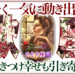 【さそり座さん🥀】🌙まもなく一気に動きだすことをしっかりと見ました🔮不安は消え晴れやかなステージへ‼️【タロット・ルノルマン・オラクルカードリーディング】