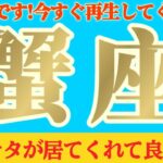 【蟹座♋️8月後半】自然と笑顔がこぼれます　今まで粗末に扱い過ぎていたのですね　✡️キャラ別鑑定付き✡️　#タロット占い