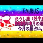 おうし座（牡牛座)・2025年8月の運勢｜今月の星占い.