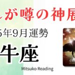 牡牛座9月は感動✨神展開です。無限の可能性を受け取りましょう♉️2025年9月運勢仕事恋愛人間関係【癒しのタロット個人鑑定級】