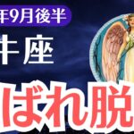 【牡牛座】2025年9月後半、おうし座、99％が気づかない運命の脱出サインと残された猶予