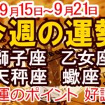 【2025年9月15日から21日】今週の運勢 獅子座 乙女座 天秤座 蠍座｜恋愛 金運 幸運日 開運のポイント