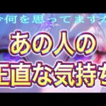 【暴きます🚪相手の気持ち】片思い複雑恋愛タロットカードリーディング🪄個人鑑定級占い🔮