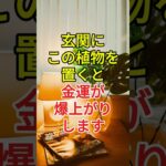 玄関にこの植物を置くと金運が爆上がりします🌿✨
