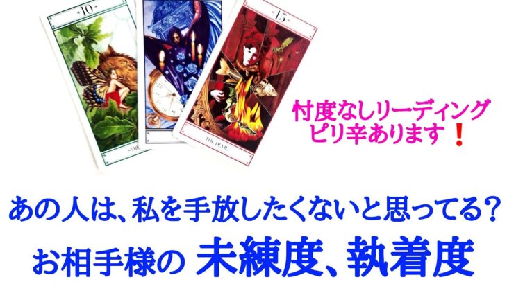 🌹恋愛タロット占い🌹ピリ辛あります❗あの人は私を手放したくないと思っていますか？お相手様のあなたへの未練度、執着度