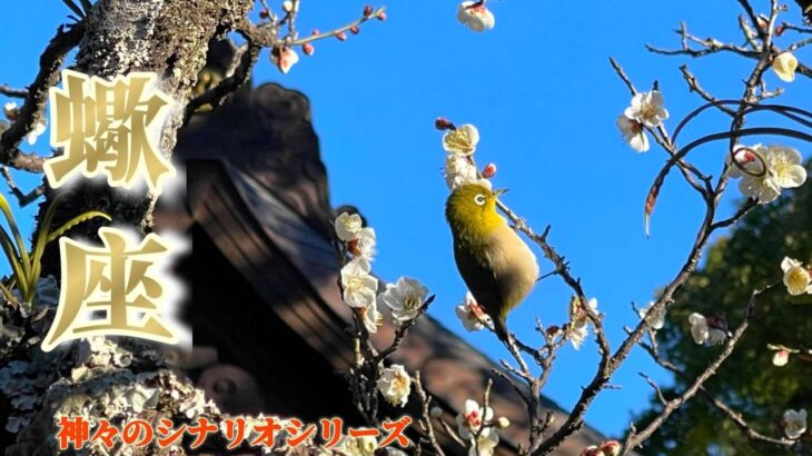 蠍座さんへここだけの話♾️『ウソでしょ！？こんな暗示が出るなんて😲✨』【💎開運扉絵付き💎】