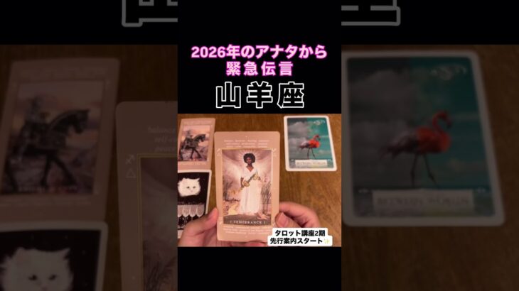 【山羊座】2026年のアナタが伝えたいこと!#タロット占い #タロット #占い