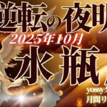 10月の運勢🦋みずがめ座　大逆転の夜明けがくる✨止まっていた何かが、動き出します…🪽！！(お金・仕事・人間関係)