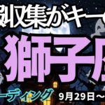 【獅子座】♌️2025年9月29日の週♌️情報収集がキーの時。人々のつながりにより、直感が降りてくる。しし座。タロット占い