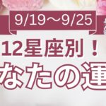 【今週の運勢は？】9/19～9/25 12星座運勢リアルタイム鑑定🌈🐇✨【開運占い師と振り返る1週間】最近あった良いこと、嬉しいこと教えて～！