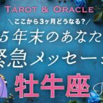 【牡牛座♉️】ハイヤーセルフの自分を生きる👏年末どうなってる？未来のあなたがどうしても伝えたいこと💌タロット＆オラクル／Tarot&Oracle card reading／Taurus