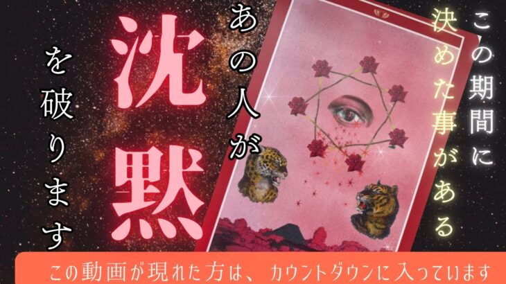 【今は意味ある時間です🕰️】沈黙の理由、連絡があるのはいつ？　　2人の関係が再び動くまでを徹底鑑定👩‍❤️‍👨〔ツインレイ☯️霊感霊視🔮サイキックリーディング〕