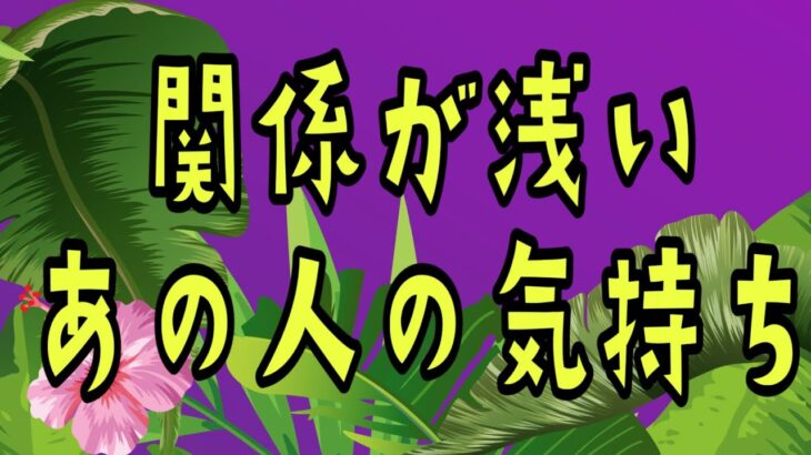 恋愛リーディング🌟顔見知り程度のあの人の気持ち