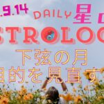 下弦の月が知らせる「中間点」｜これまでの成果とこれからを振り返る＃占い #星読み 　#tarot　＃乙女座　＃双子座