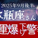 【水瓶座】2025年9月後半、みずがめ座は金運瀑下げ警報発令中！