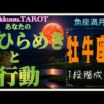 あなたの思うがままにやって下さい💪牡牛座♉さん【魚座満月🌕〜あなたのひらめきと行動】#2025 #タロット占い #星座別