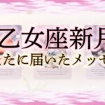 【タロット占い】乙女座新月の日にあなたに届いたメッセージ