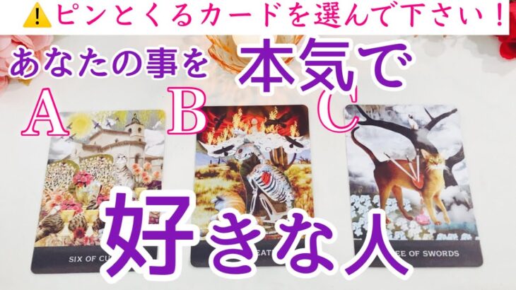 あなたのことを本気で好きな人❣️タロット、タロット占い、恋愛