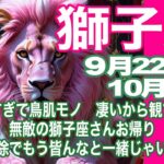 獅子座♌️９月22日〜10月前半＊興奮しすぎて鳥肌もの　凄いから観て欲しい　無敵の獅子座さんお帰り　ロック解除でもうみんなと一緒じゃいられない＊魂のリーディング