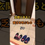 玄関にあると貧乏を呼ぶもの5つ#風水#玄関