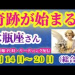【水瓶座】2025年9月14日から20日のみずがめ座の総合運。#水瓶座 #みずがめ座