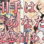 5択✨お相手様はあなた様に恋愛感情ある？🫢❤️‼️辛口あります⚠️恋愛タロット占い🔮