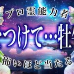 【9月になったら見て】牡牛座の9月後半、進むか引くかで運命が変わります