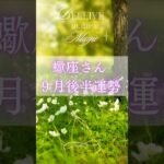 蠍座9月後半運勢　#蠍座　#さそり座 #タロット占い #tarot #タロットリーディング #星座占い