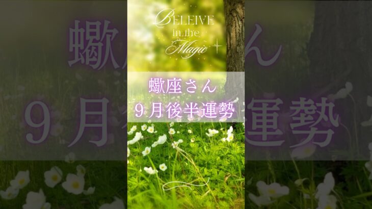 蠍座9月後半運勢　#蠍座　#さそり座 #タロット占い #tarot #タロットリーディング #星座占い
