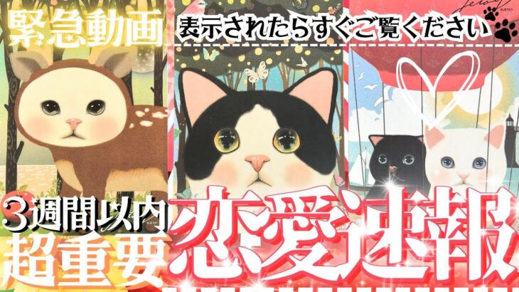 緊急‼️超重要タイミング🩷❣️見た瞬間から👀🍎３週間以内の恋愛速報！【忖度一切なし♦︎有料鑑定級♦︎】