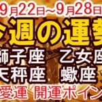 【2025年9月22日から9月28日】今週の運勢 獅子座 乙女座 天秤座 蠍座｜恋愛 金運 幸運日 開運のポイント