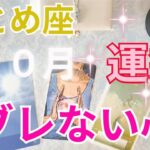 おとめ座10月の運勢～自分の心を守る～
