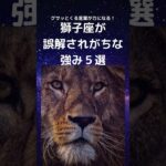 獅子座が誤解されがちな強み５選 |　しし座さん必見！言われてグサッとくる言葉が実はあなたの最強の強み　自己肯定感を上げる　#星座占い #占い #獅子座