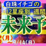 ★忖度なし★2025年9月8日〜9月14日の星座別☆週間未来予報★運気を上げるアドバイスつき★