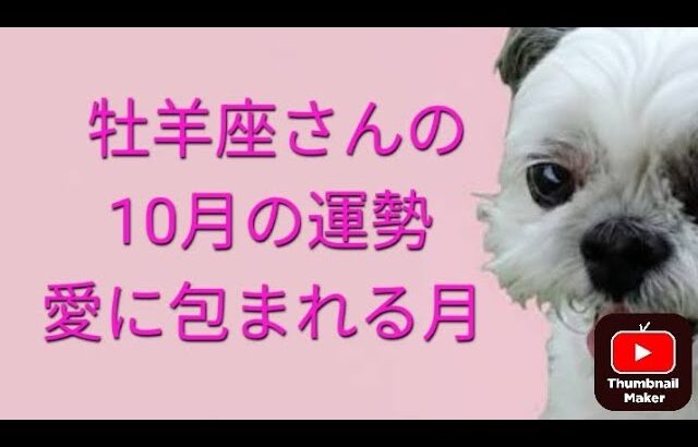 牡羊座さんの10月の運勢⭐️おひつじ、タロット占い🔮恋愛♥仕事♣️金運💰️健康🐶紫月ひかり✨️みっきー
