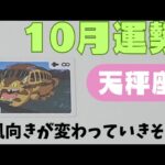 【天秤座】10月の運勢🌈▼タロットカード&オラクルカード&ルノルマンカード占い