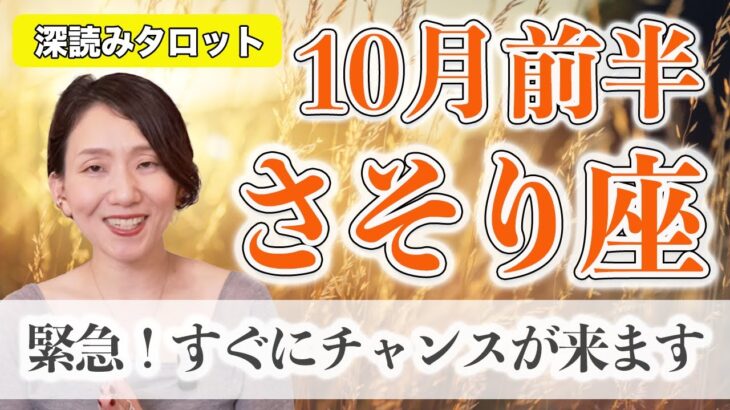 10月前半 さそり座の運勢♏️ / 緊急！すぐにチャンスが来ます！人生のパラダイスに向かっている【トートタロット & 西洋占星術】