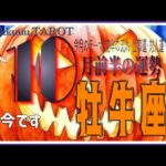 道を切り開くために一歩踏み出して👣牡牛座♉さん【10月前半の運勢✨今月のテーマ･前半の流れ･仕事運･対人運･注意点】#2025 #タロット占い #星座別
