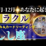 しし座♌️10～12月運勢【50才からの星読み】✨年内に受け取るミラクル！大逆転します！覚悟してください。新しい世界へワープする時　(仕事運　金運）タロット＆オラクル＆ルノルマンカード