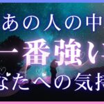 今あの人の中で一番強いあなたへの気持ち 【 恋愛 タロット オラクル カード 占い 】