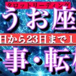 うお座♓️連休明け仕事運編💫9月16日から23日までタロット1日1枚引き！好転の予兆を感じる✨