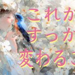 これから、すっかり変わること😽