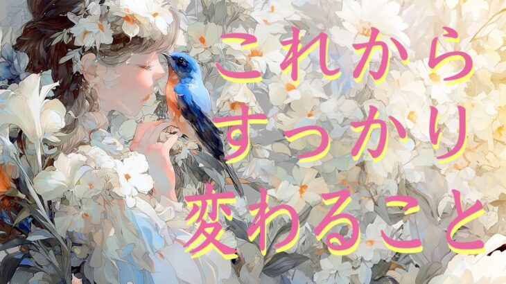 これから、すっかり変わること😽