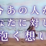 今あの人があなたに対して抱く想い 【 恋愛 あの人の気持ち タロット オラクル カード 占い】