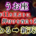 うお座《9年11か月》お疲れ様でした【押しつけられる人生】→【終わる】→【新天地へ】魚座のこれからを解説。