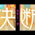 【蟹座】この決断をした事(する事)によってどうなりますか？▼タロットカード&オラクルカード&ルノルマンカード占い